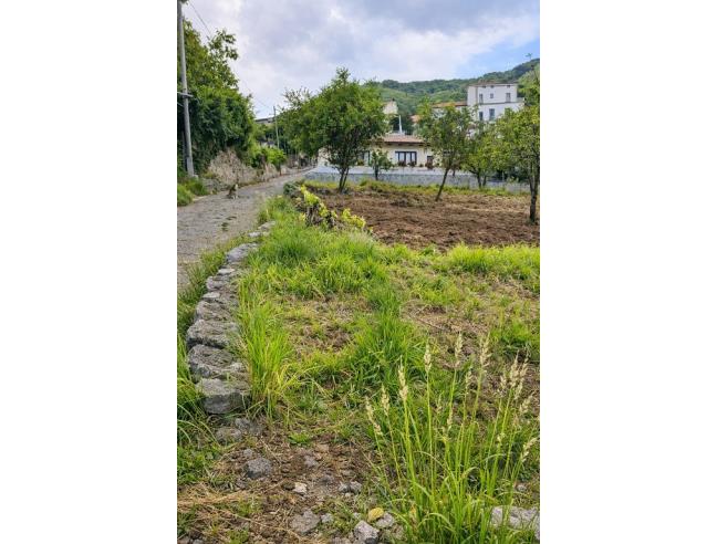 Anteprima foto 7 - Terreno Agricolo/Coltura in Vendita a Agerola - San Lazzaro