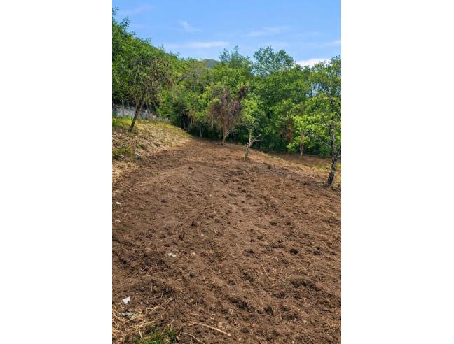 Anteprima foto 8 - Terreno Agricolo/Coltura in Vendita a Agerola - San Lazzaro