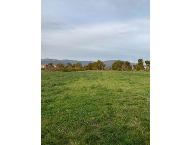 Anteprima foto 1 - Terreno Agricolo/Coltura in Vendita a Agliana (Pistoia)