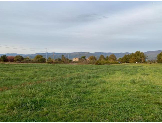 Anteprima foto 2 - Terreno Agricolo/Coltura in Vendita a Agliana (Pistoia)