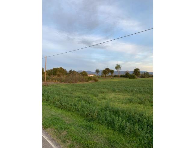 Anteprima foto 4 - Terreno Agricolo/Coltura in Vendita a Agliana (Pistoia)