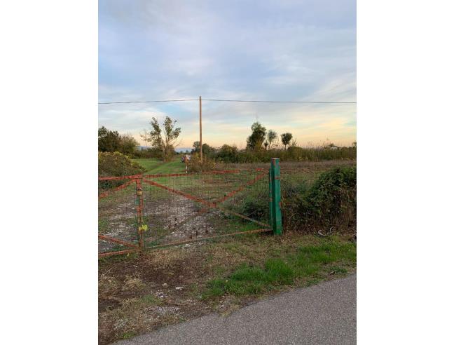 Anteprima foto 5 - Terreno Agricolo/Coltura in Vendita a Agliana (Pistoia)