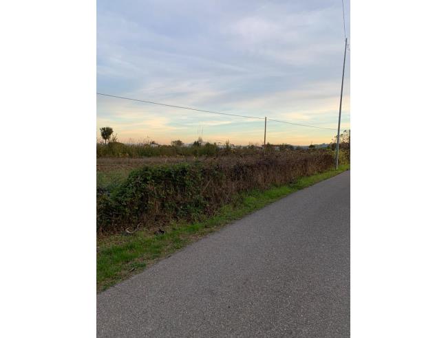 Anteprima foto 6 - Terreno Agricolo/Coltura in Vendita a Agliana (Pistoia)