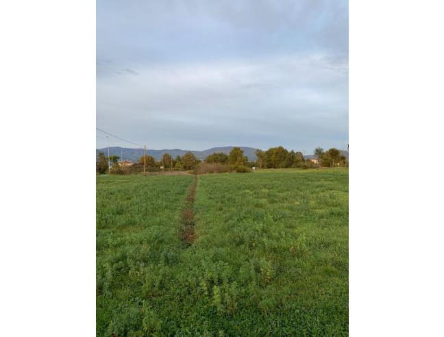 Anteprima foto 7 - Terreno Agricolo/Coltura in Vendita a Agliana (Pistoia)