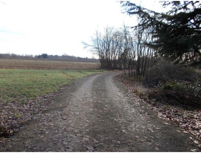 Anteprima foto 3 - Terreno Agricolo/Coltura in Vendita a Agrate Brianza - Cascina Morosina