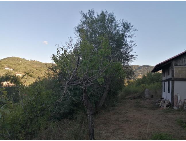 Anteprima foto 7 - Terreno Agricolo/Coltura in Vendita a Agropoli - Mattine