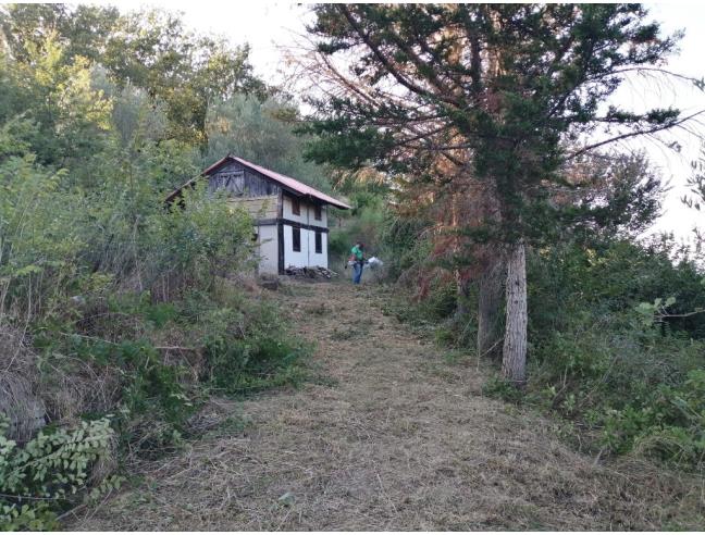 Anteprima foto 8 - Terreno Agricolo/Coltura in Vendita a Agropoli - Mattine