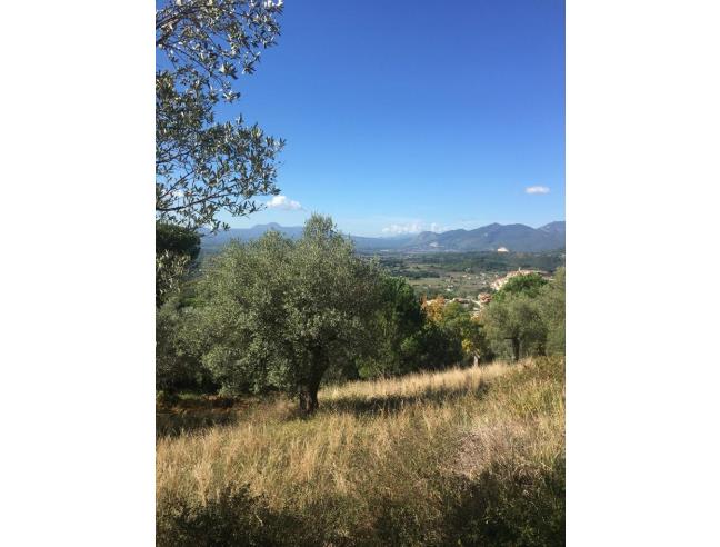 Anteprima foto 1 - Terreno Agricolo/Coltura in Vendita a Ailano (Caserta)