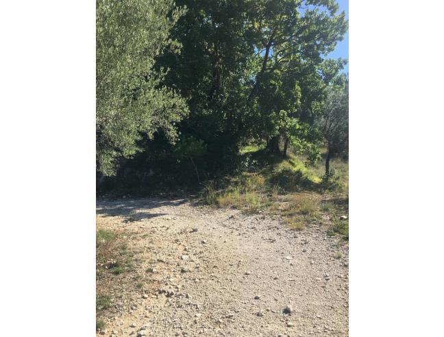 Anteprima foto 2 - Terreno Agricolo/Coltura in Vendita a Ailano (Caserta)
