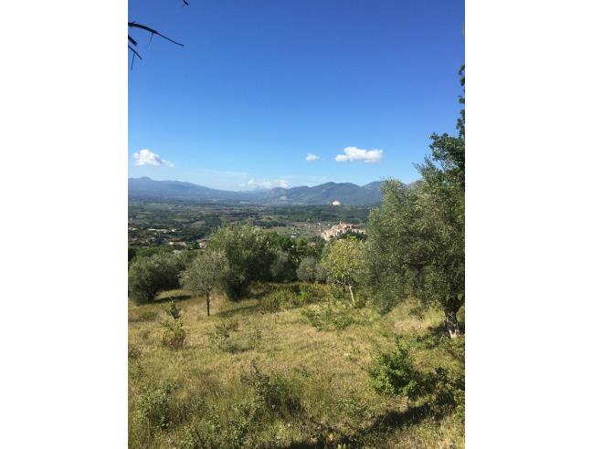 Anteprima foto 4 - Terreno Agricolo/Coltura in Vendita a Ailano (Caserta)
