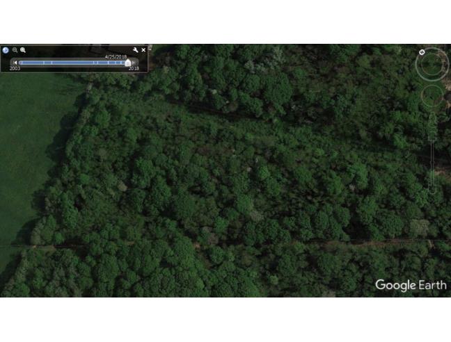 Anteprima foto 5 - Terreno Agricolo/Coltura in Vendita a Albano Sant'Alessandro (Bergamo)