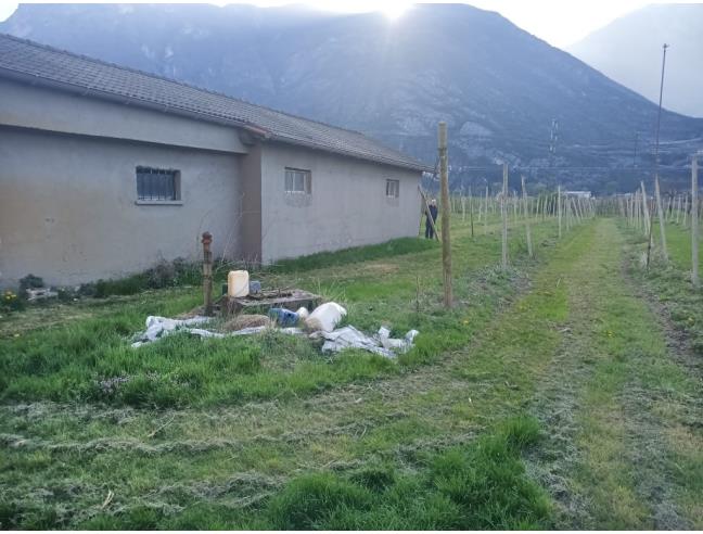 Anteprima foto 4 - Terreno Agricolo/Coltura in Vendita a Aldeno (Trento)