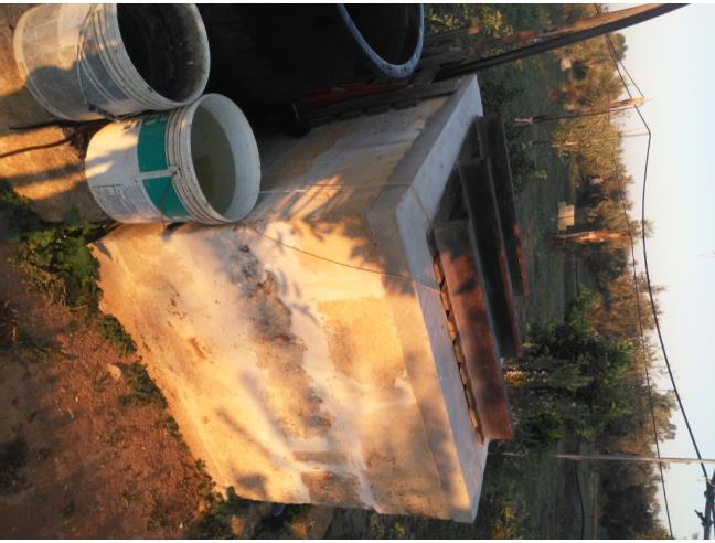 Anteprima foto 3 - Terreno Agricolo/Coltura in Vendita a Alezio (Lecce)