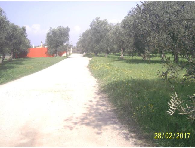 Anteprima foto 1 - Terreno Agricolo/Coltura in Vendita a Alghero (Sassari)