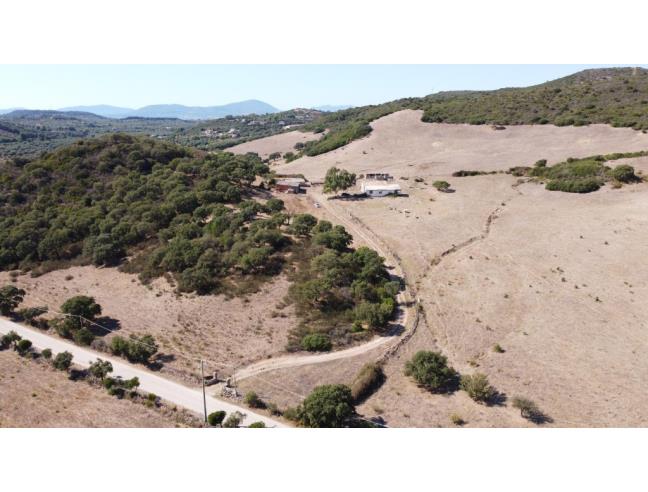 Anteprima foto 1 - Terreno Agricolo/Coltura in Vendita a Alghero (Sassari)