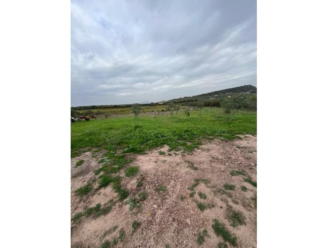 Anteprima foto 1 - Terreno Agricolo/Coltura in Vendita a Alghero (Sassari)