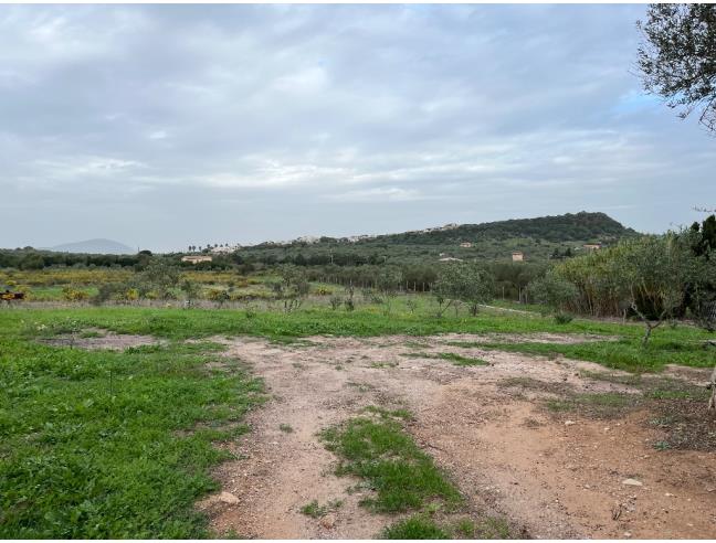 Anteprima foto 2 - Terreno Agricolo/Coltura in Vendita a Alghero (Sassari)
