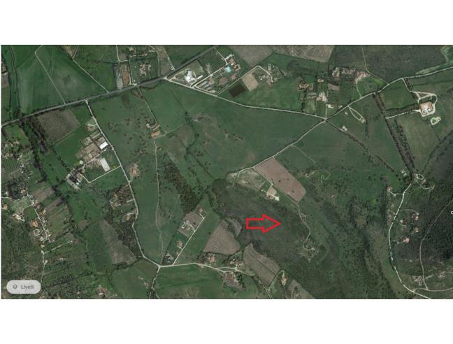 Anteprima foto 2 - Terreno Agricolo/Coltura in Vendita a Alghero (Sassari)