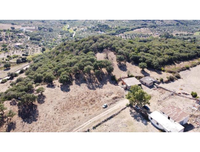 Anteprima foto 2 - Terreno Agricolo/Coltura in Vendita a Alghero (Sassari)