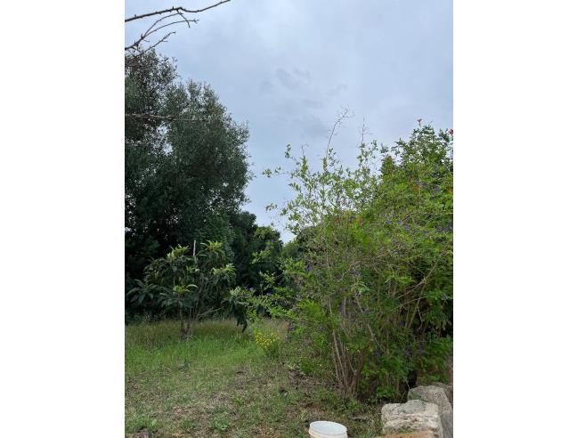 Anteprima foto 3 - Terreno Agricolo/Coltura in Vendita a Alghero (Sassari)