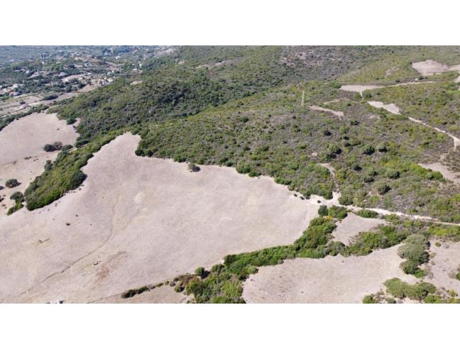 Anteprima foto 3 - Terreno Agricolo/Coltura in Vendita a Alghero (Sassari)