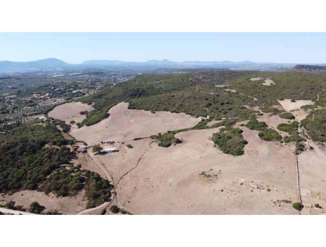 Anteprima foto 4 - Terreno Agricolo/Coltura in Vendita a Alghero (Sassari)