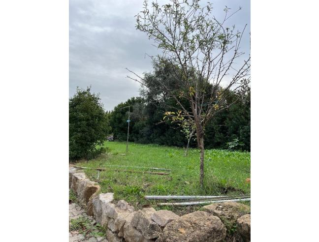 Anteprima foto 4 - Terreno Agricolo/Coltura in Vendita a Alghero (Sassari)