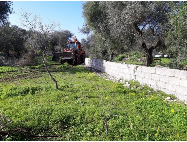 Anteprima foto 5 - Terreno Agricolo/Coltura in Vendita a Alghero (Sassari)