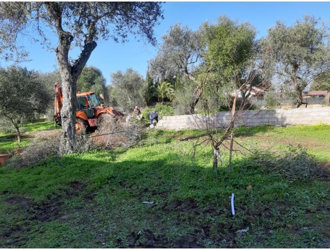 Anteprima foto 6 - Terreno Agricolo/Coltura in Vendita a Alghero (Sassari)