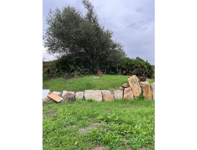 Anteprima foto 6 - Terreno Agricolo/Coltura in Vendita a Alghero (Sassari)