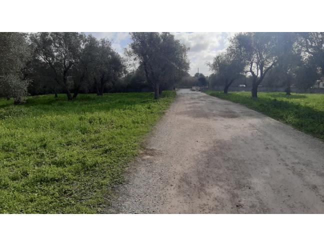 Anteprima foto 7 - Terreno Agricolo/Coltura in Vendita a Alghero (Sassari)
