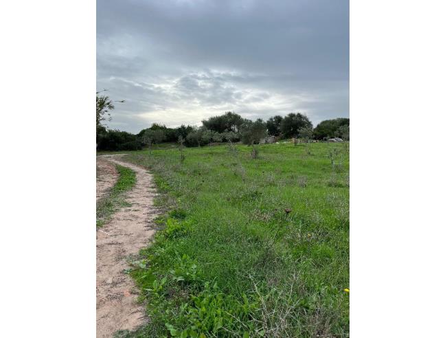 Anteprima foto 8 - Terreno Agricolo/Coltura in Vendita a Alghero (Sassari)
