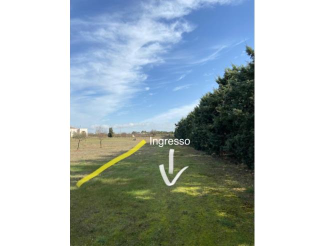 Anteprima foto 3 - Terreno Agricolo/Coltura in Vendita a Altamura (Bari)