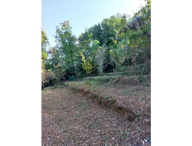 Anteprima foto 2 - Terreno Agricolo/Coltura in Vendita a Ameglia - Montemarcello