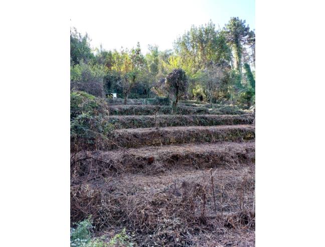 Anteprima foto 4 - Terreno Agricolo/Coltura in Vendita a Ameglia - Montemarcello