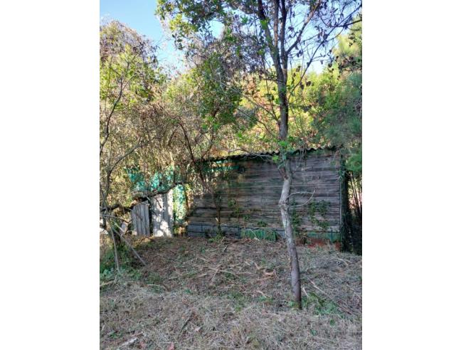 Anteprima foto 5 - Terreno Agricolo/Coltura in Vendita a Ameglia - Montemarcello