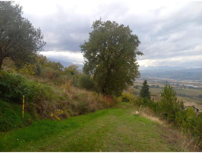Anteprima foto 5 - Terreno Agricolo/Coltura in Vendita a Ancarano (Teramo)