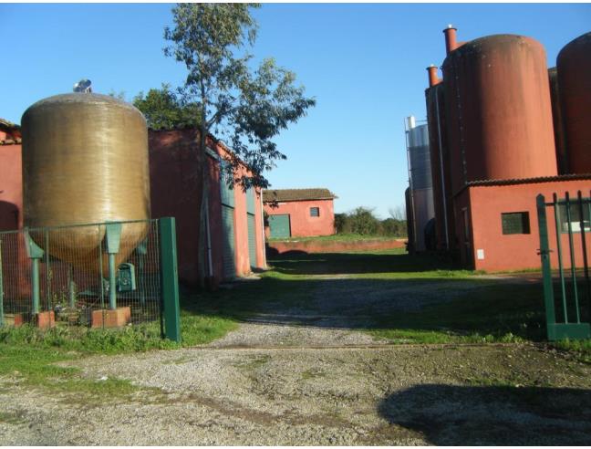 Anteprima foto 3 - Terreno Agricolo/Coltura in Vendita a Aprilia - Campoleone