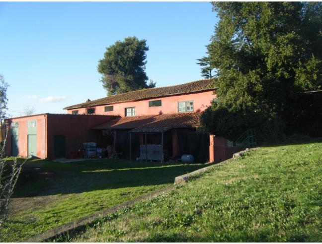 Anteprima foto 5 - Terreno Agricolo/Coltura in Vendita a Aprilia - Campoleone