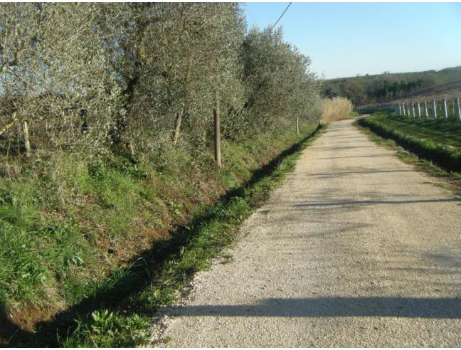 Anteprima foto 6 - Terreno Agricolo/Coltura in Vendita a Aprilia - Campoleone