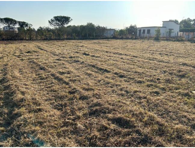 Anteprima foto 1 - Terreno Agricolo/Coltura in Vendita a Aprilia (Latina)