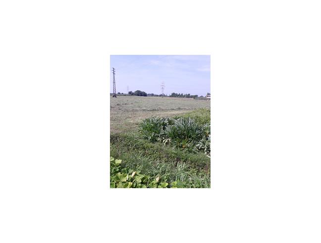 Anteprima foto 3 - Terreno Agricolo/Coltura in Vendita a Arcene (Bergamo)
