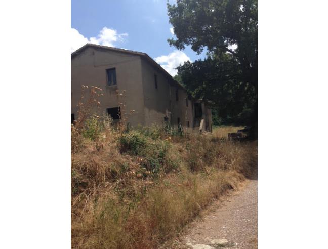 Anteprima foto 4 - Terreno Agricolo/Coltura in Vendita a Arcidosso - Stribugliano