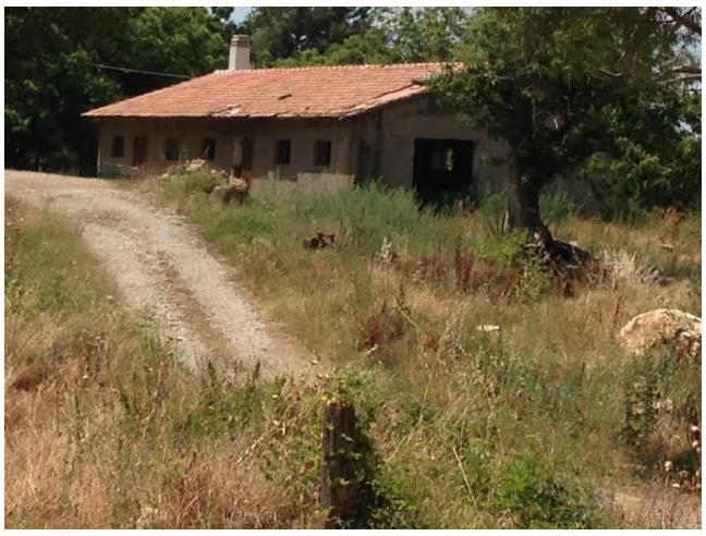 Anteprima foto 7 - Terreno Agricolo/Coltura in Vendita a Arcidosso - Stribugliano