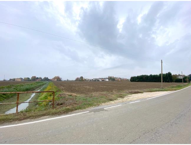 Anteprima foto 1 - Terreno Agricolo/Coltura in Vendita a Argenta (Ferrara)