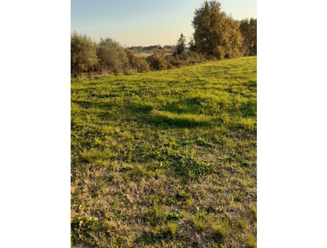 Anteprima foto 1 - Terreno Agricolo/Coltura in Vendita a Ariccia (Roma)