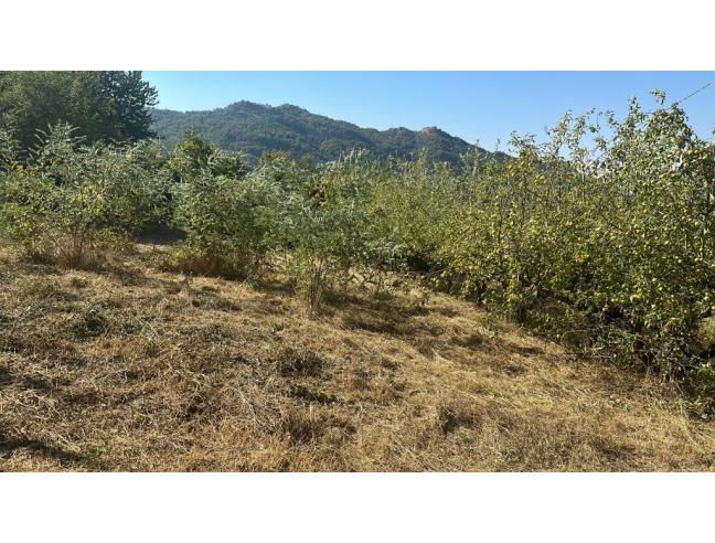 Anteprima foto 1 - Terreno Agricolo/Coltura in Vendita a Arquata Scrivia (Alessandria)