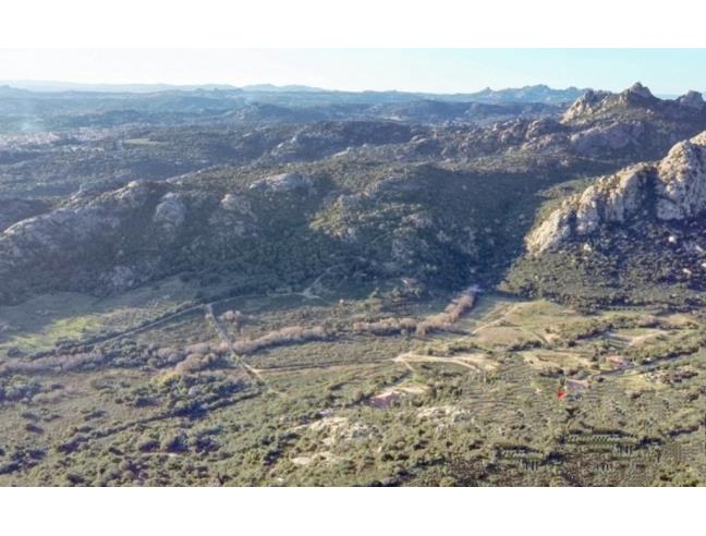 Anteprima foto 2 - Terreno Agricolo/Coltura in Vendita a Arzachena (Sassari)