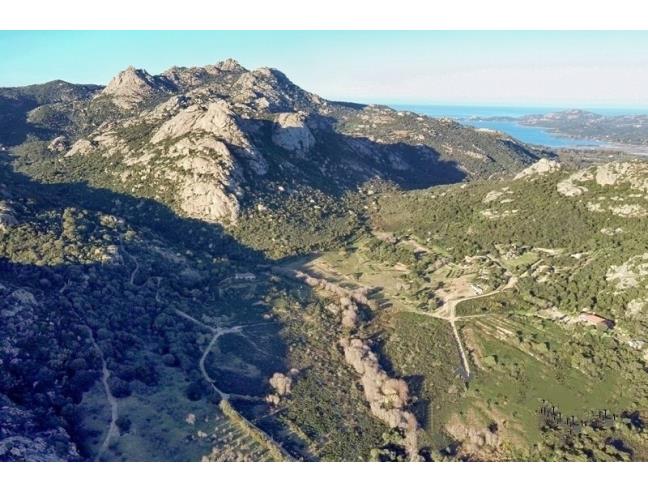 Anteprima foto 3 - Terreno Agricolo/Coltura in Vendita a Arzachena (Sassari)