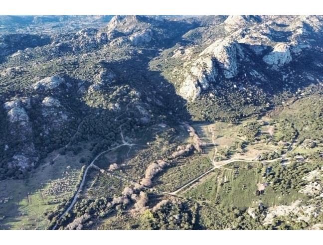 Anteprima foto 4 - Terreno Agricolo/Coltura in Vendita a Arzachena (Sassari)